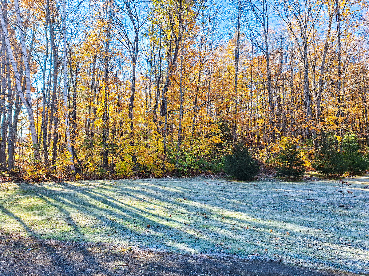 Autumn Leaves Past Peak in Western Maine