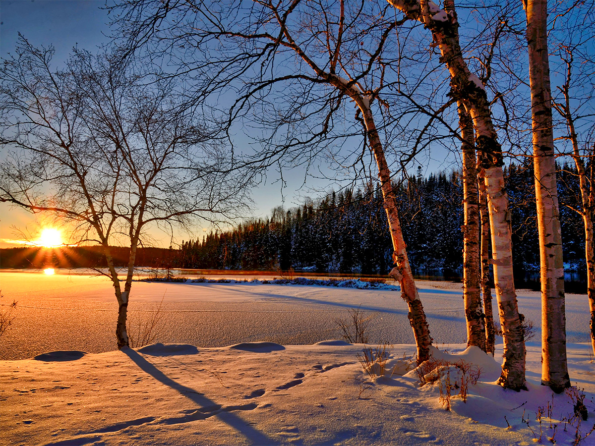 Frozen Winter SunSet