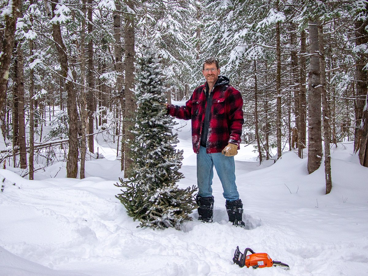 Standing Next to Freshly Cut Christmas Tree