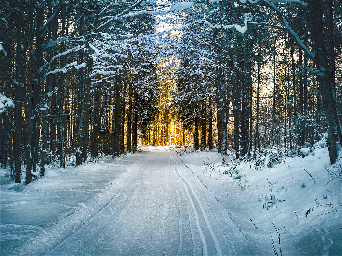 Maine Winter in December