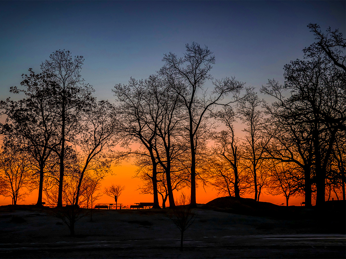 Winter Dusk