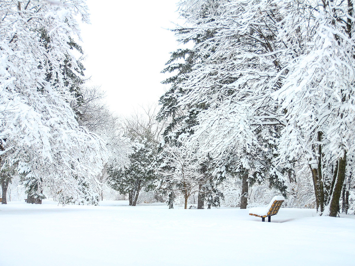 Winter in Maine in January