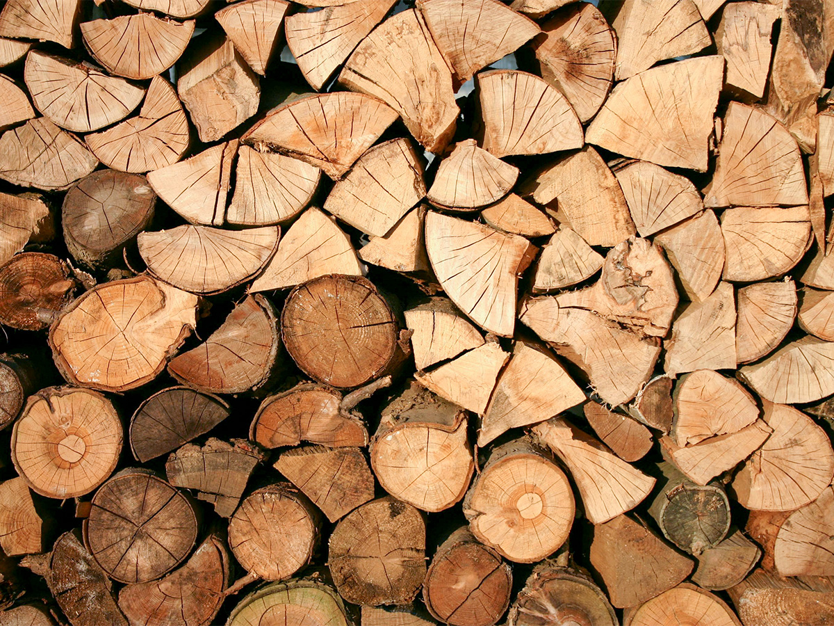 Stacked Firewood
