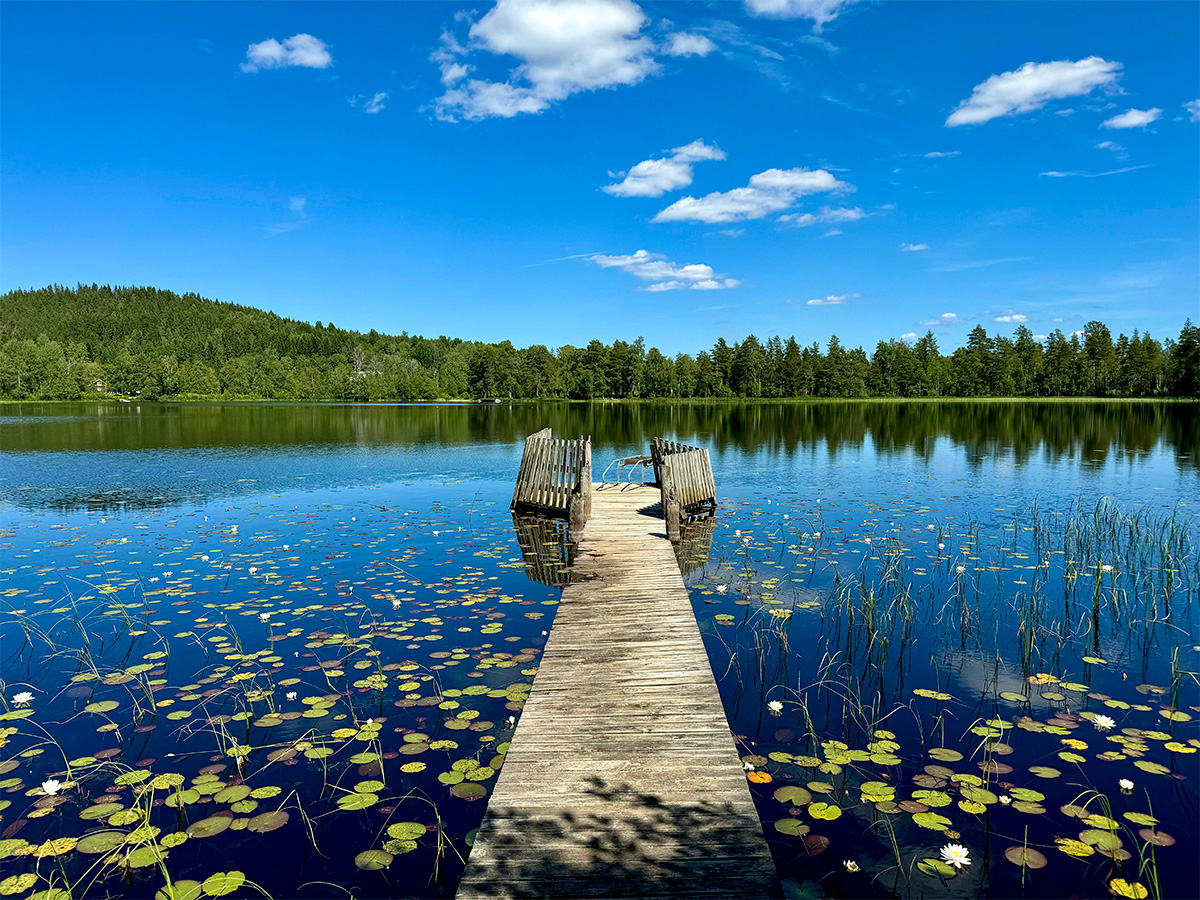 Dock on Lake - June in Maine