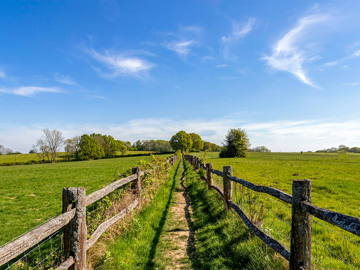 Walking Trail Between Wooden Fences