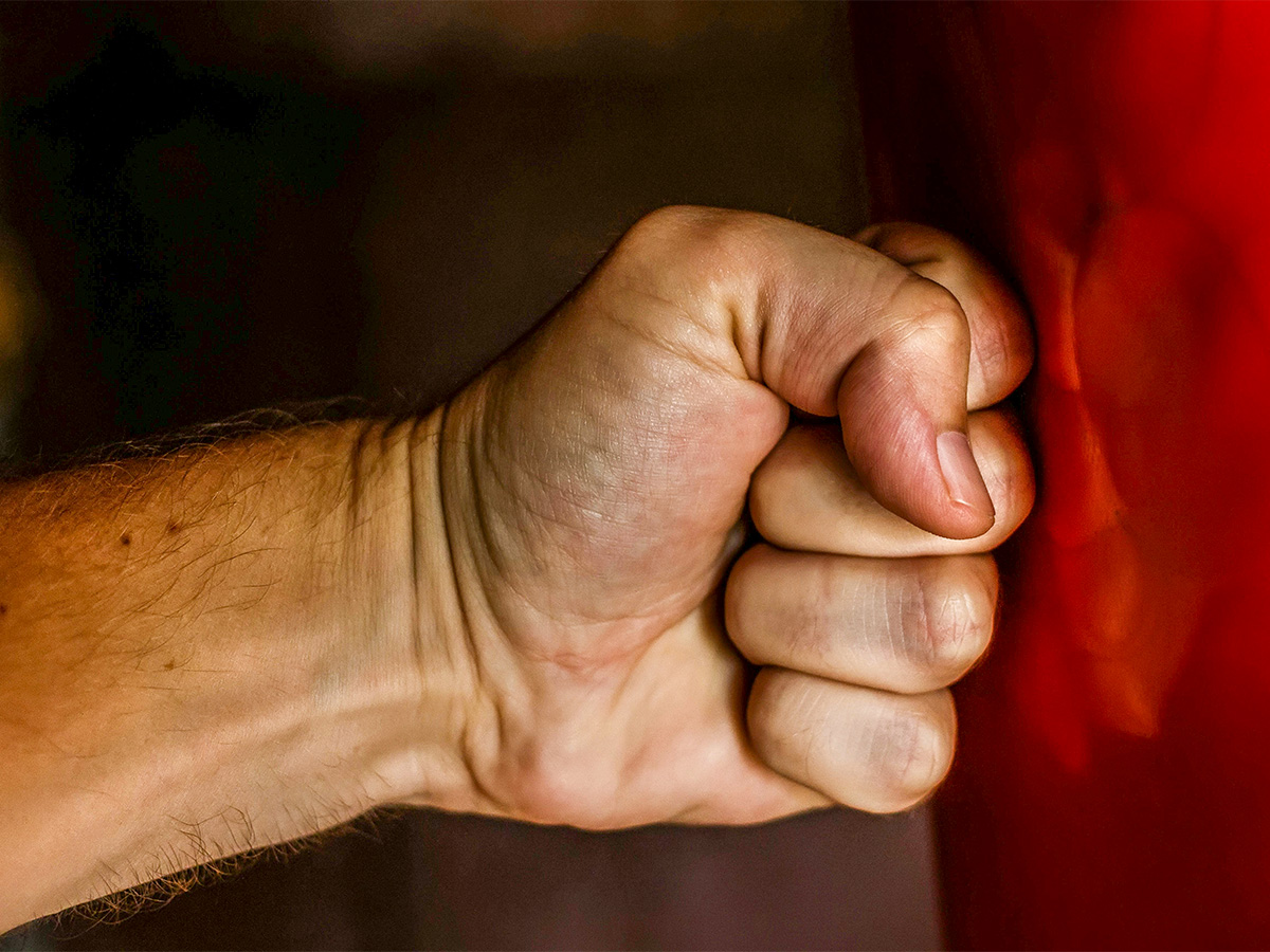Fist