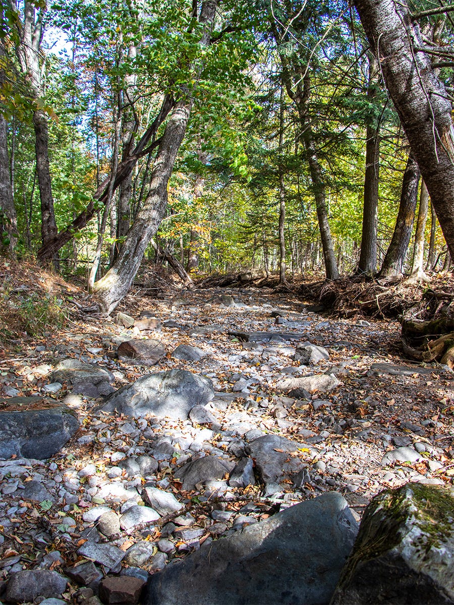Dried Streambed