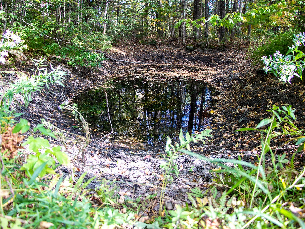 Low-Level Pond