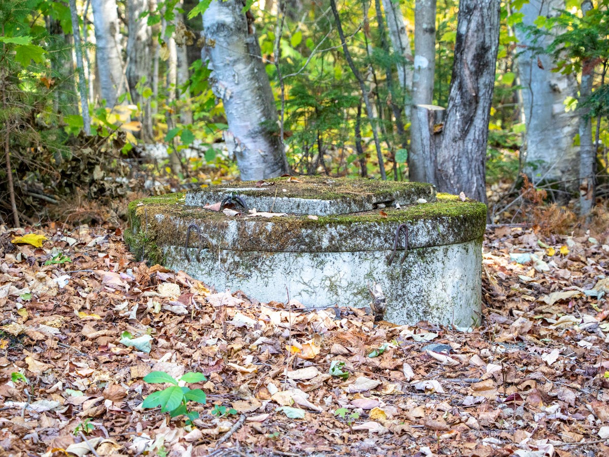 Shallow Well Top