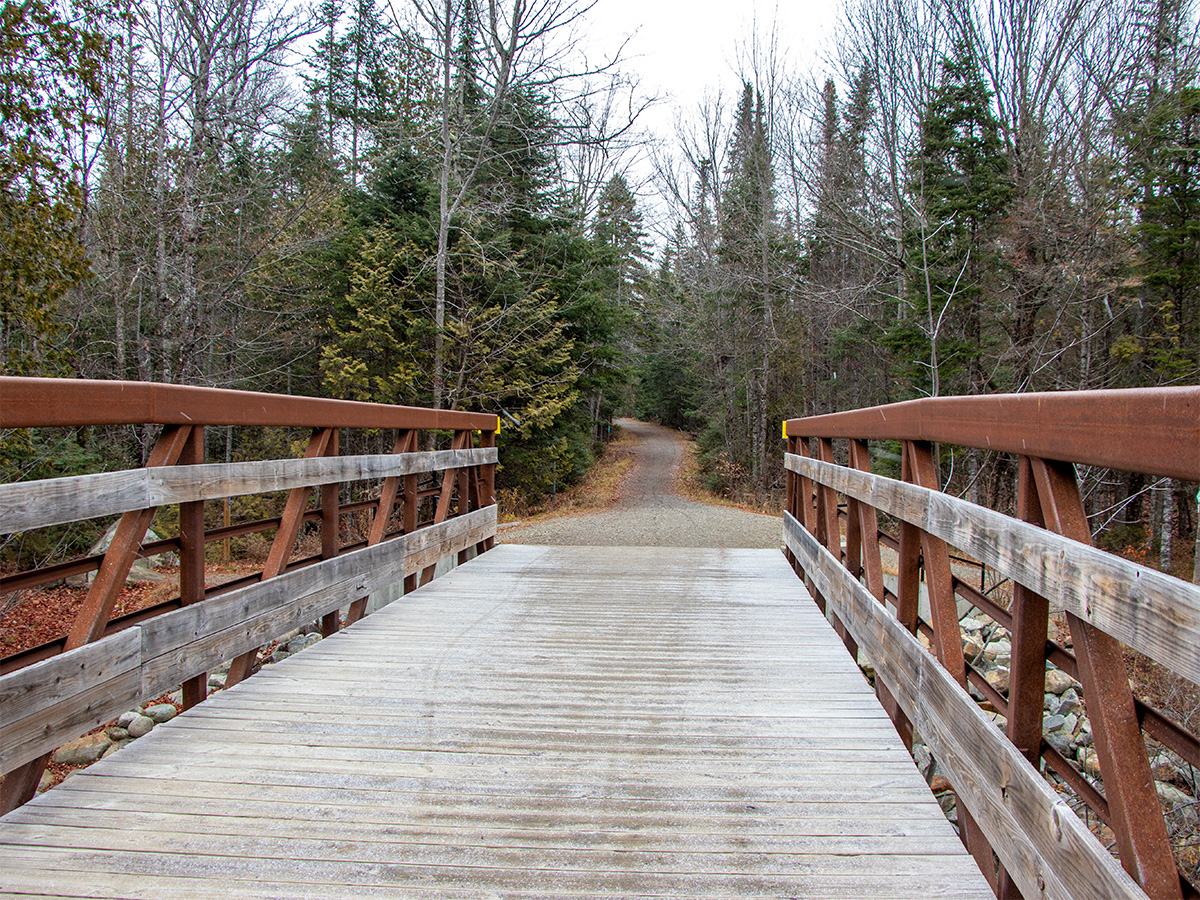 Walking Across Bridge