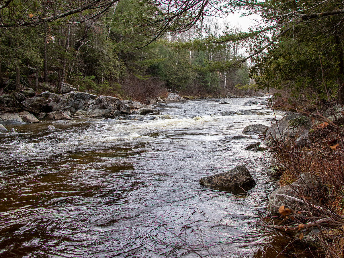 Carrabassett River