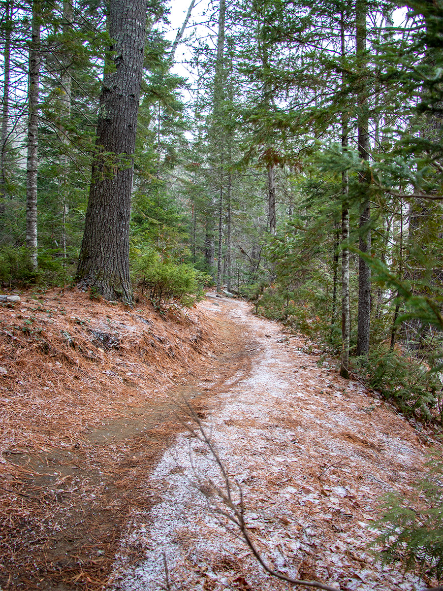 Mountain Bike Trail Along Narrow Gauge Pathway in Carrabassett