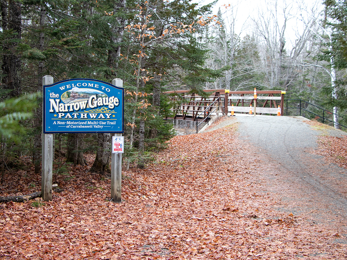 Narrow Gauge Pathway Bridge