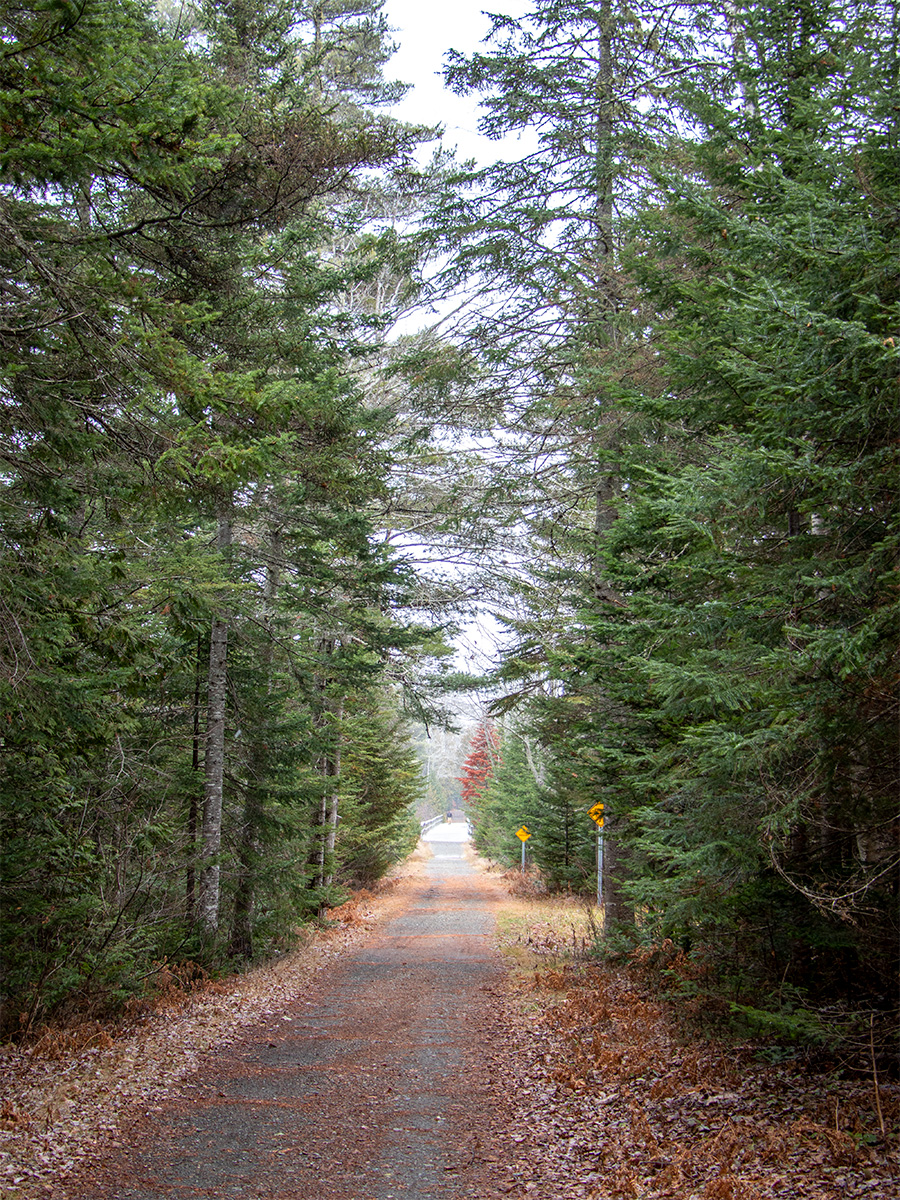 Narrow Gauge Pathway Toward Wooden Bridge