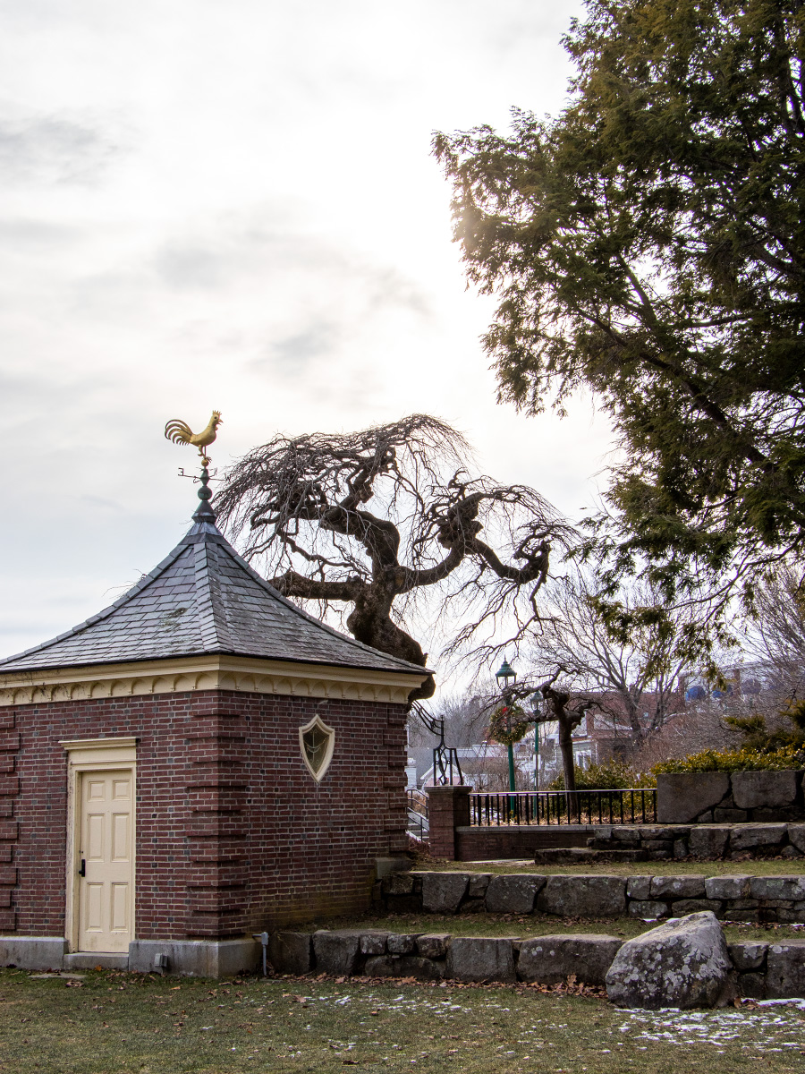 Small Outbuilding & Ornate Tree