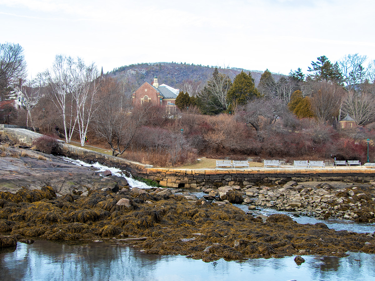 Camden Public Library & Mount Battie