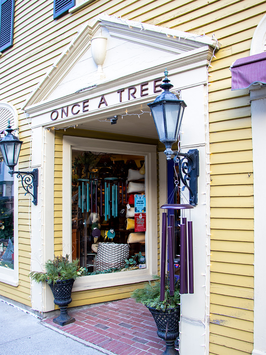 Once a Tree, Camden, Maine
