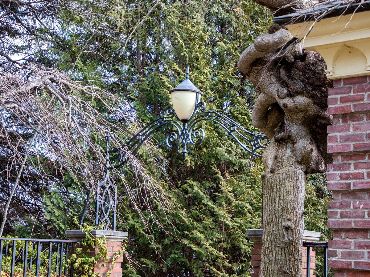 Interesting Wrought Iron Gate